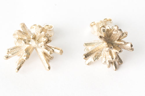 Earrings Frost Agave