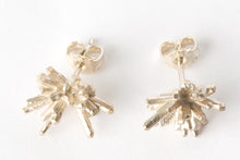 Load image into Gallery viewer, Earrings Frost Agave